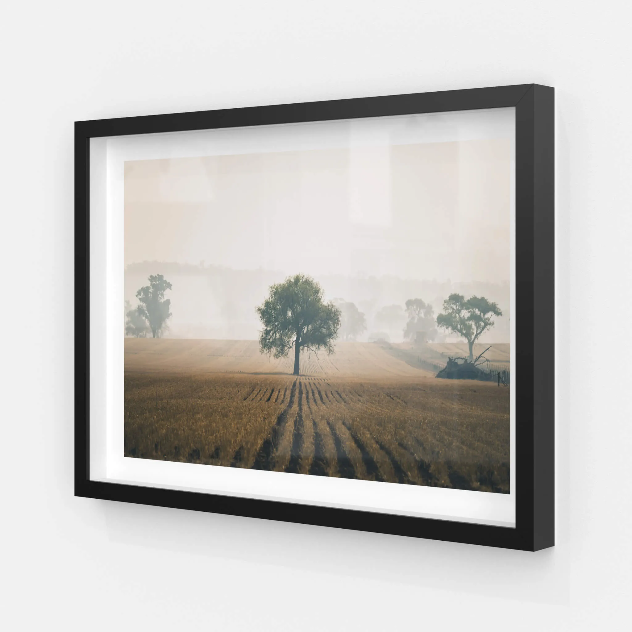 Solitude | Landscapes