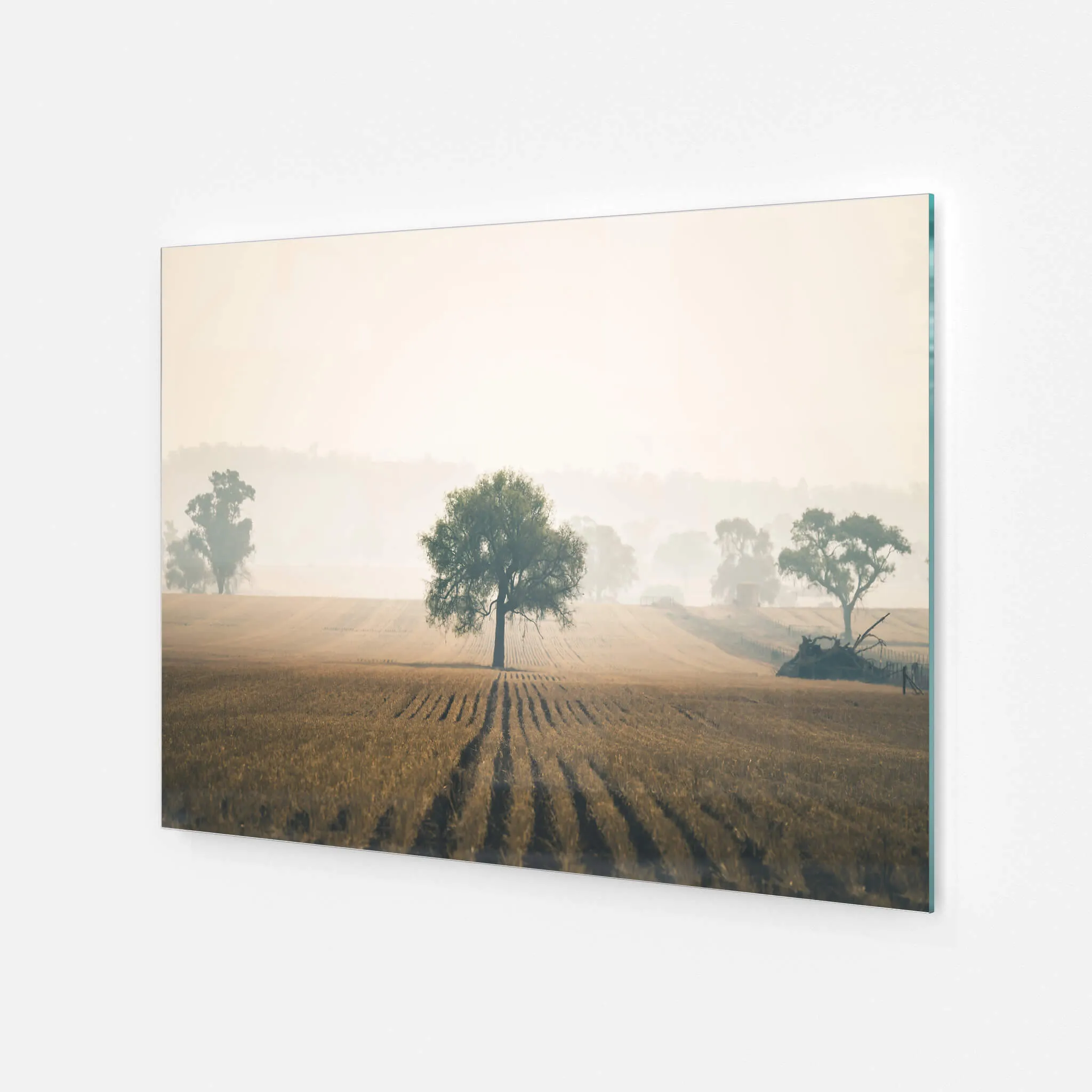 Solitude | Landscapes