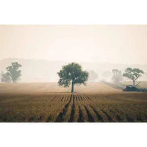 Solitude | Landscapes
