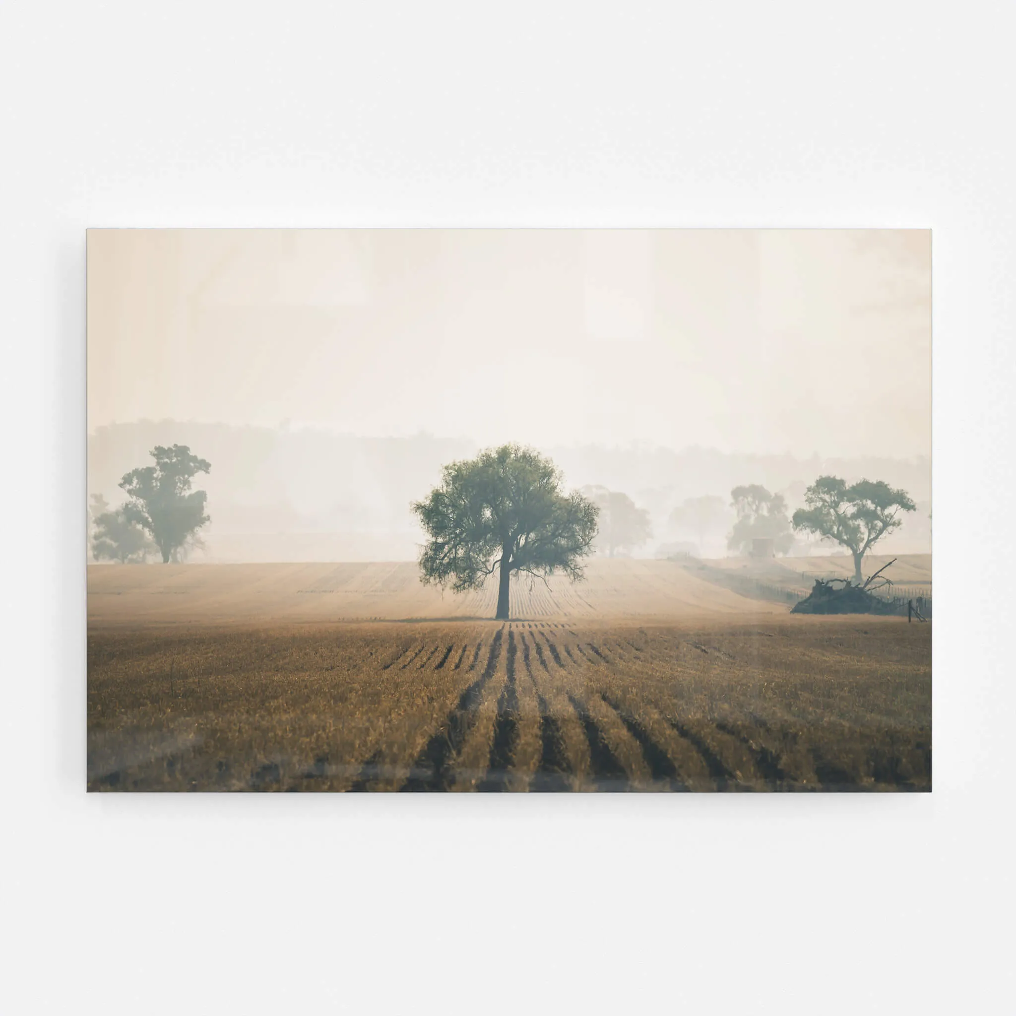 Solitude | Landscapes