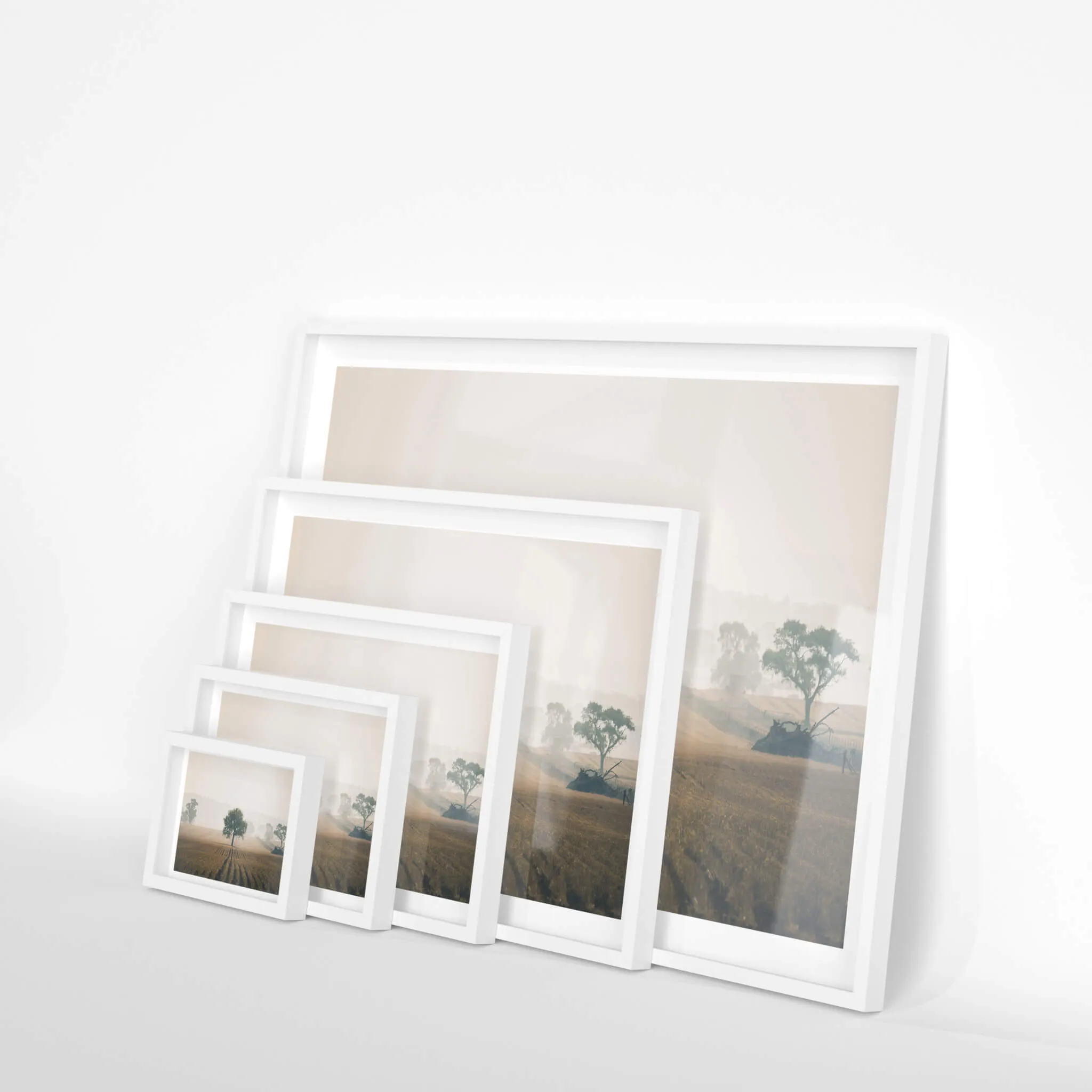 Solitude | Landscapes