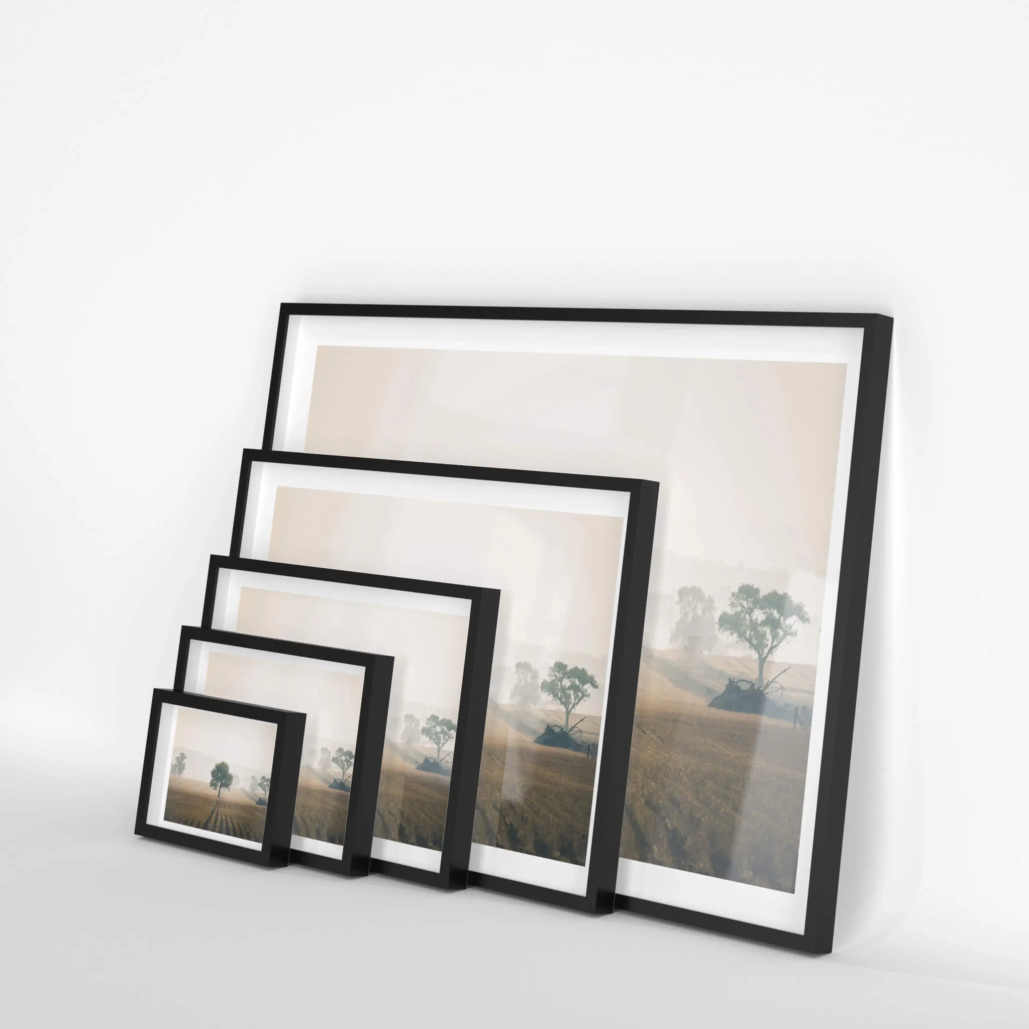Solitude | Landscapes