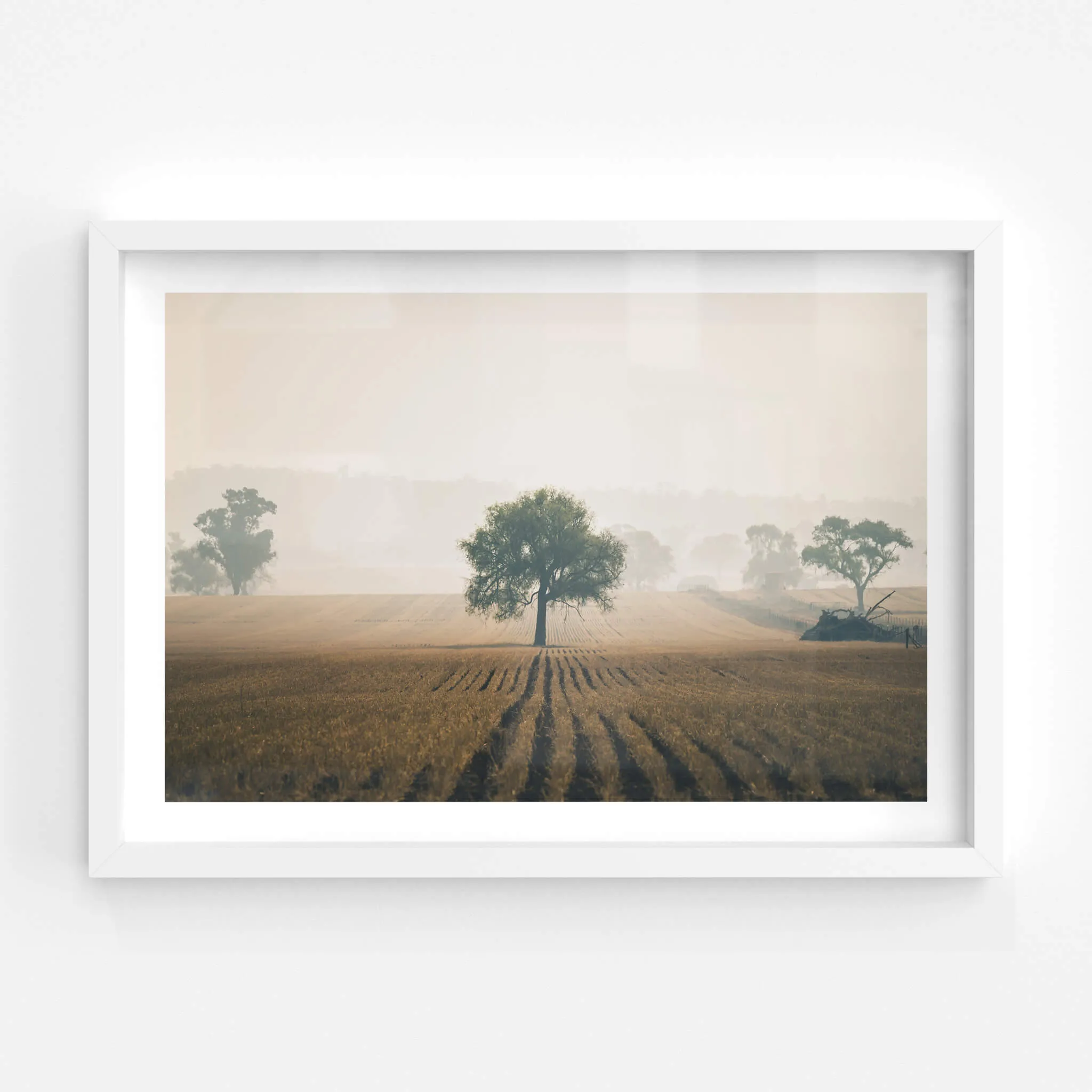 Solitude | Landscapes