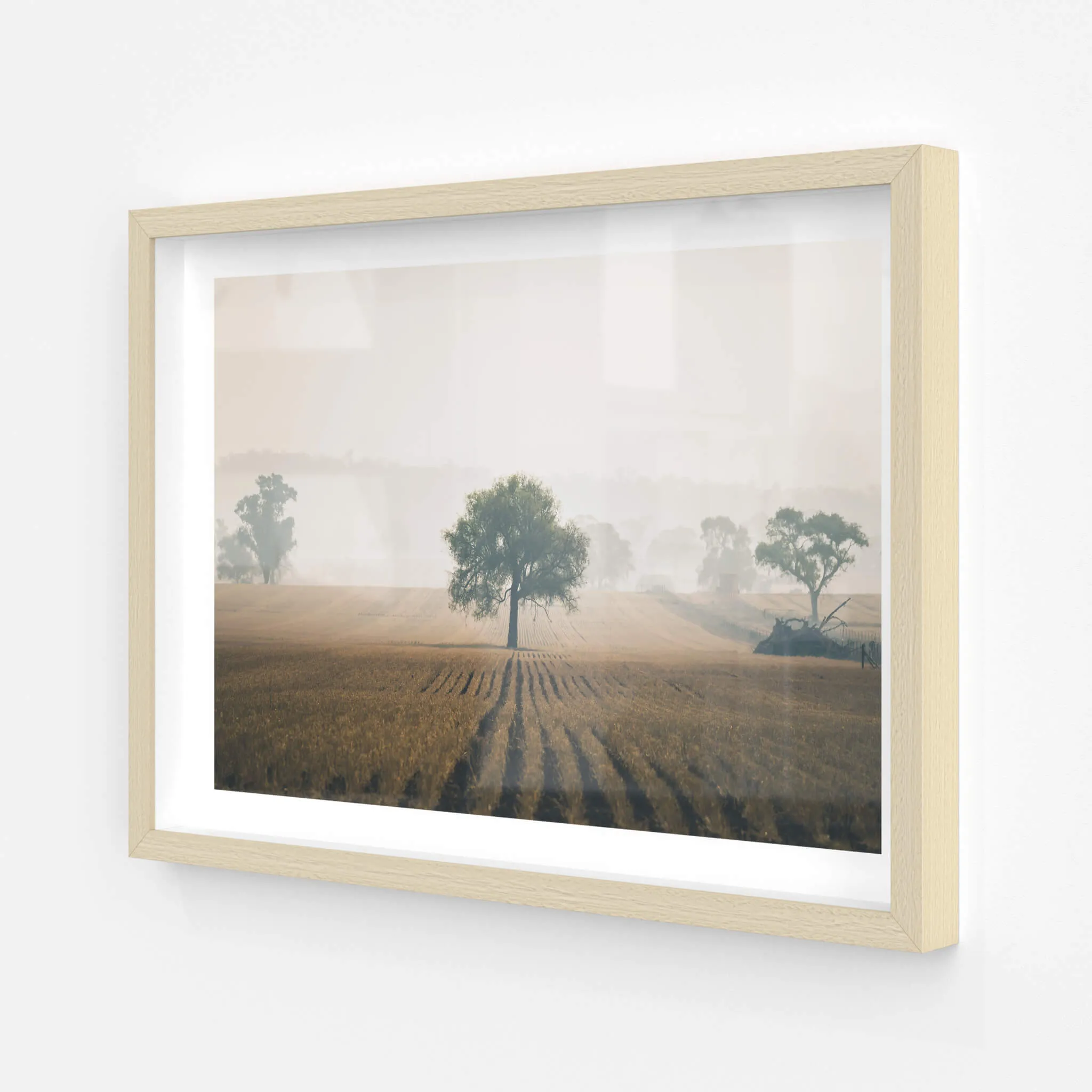 Solitude | Landscapes