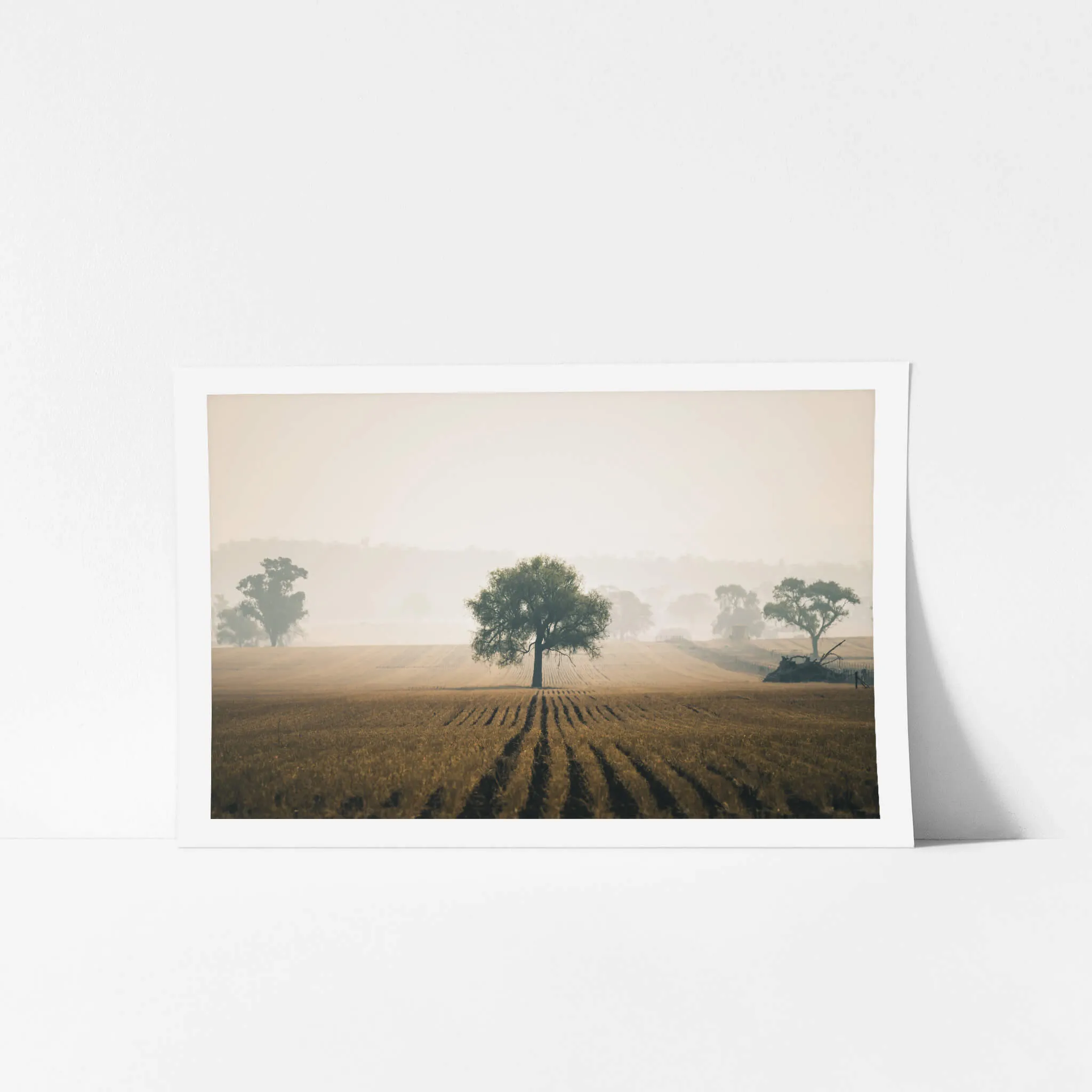 Solitude | Landscapes