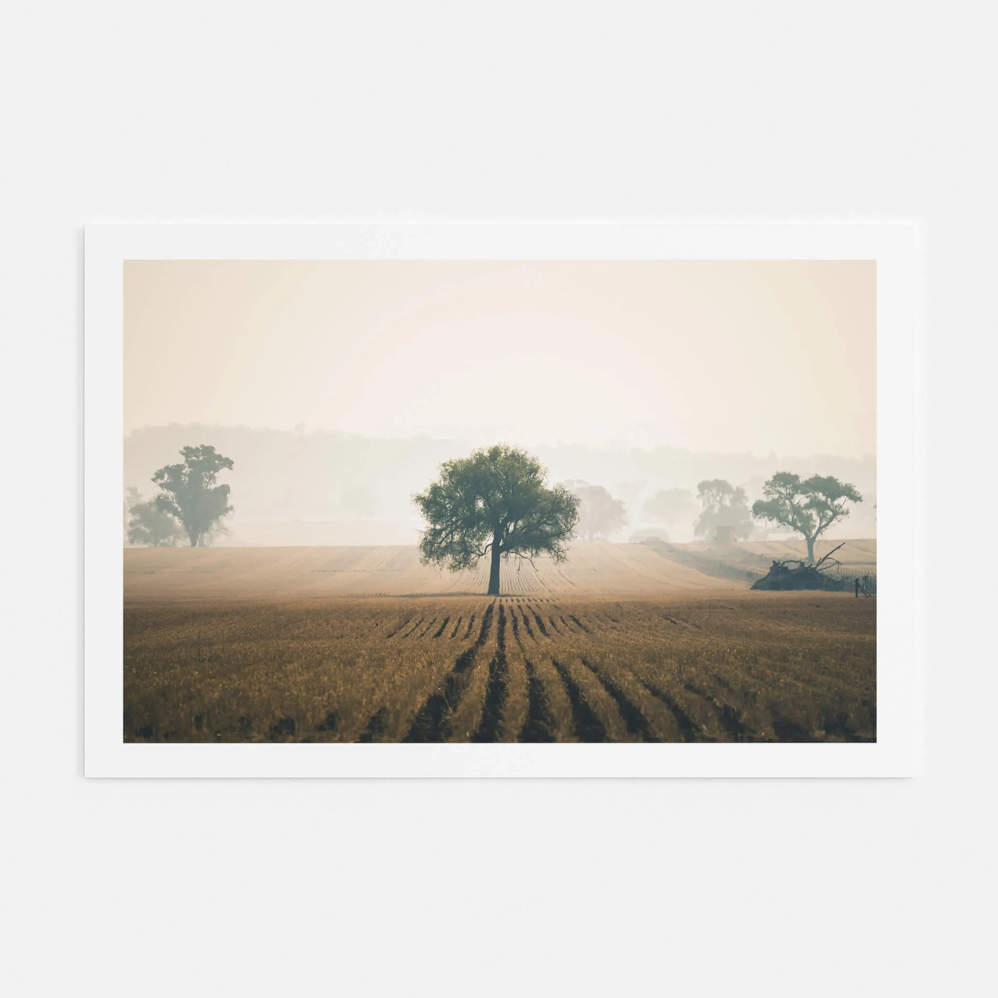 Solitude | Landscapes
