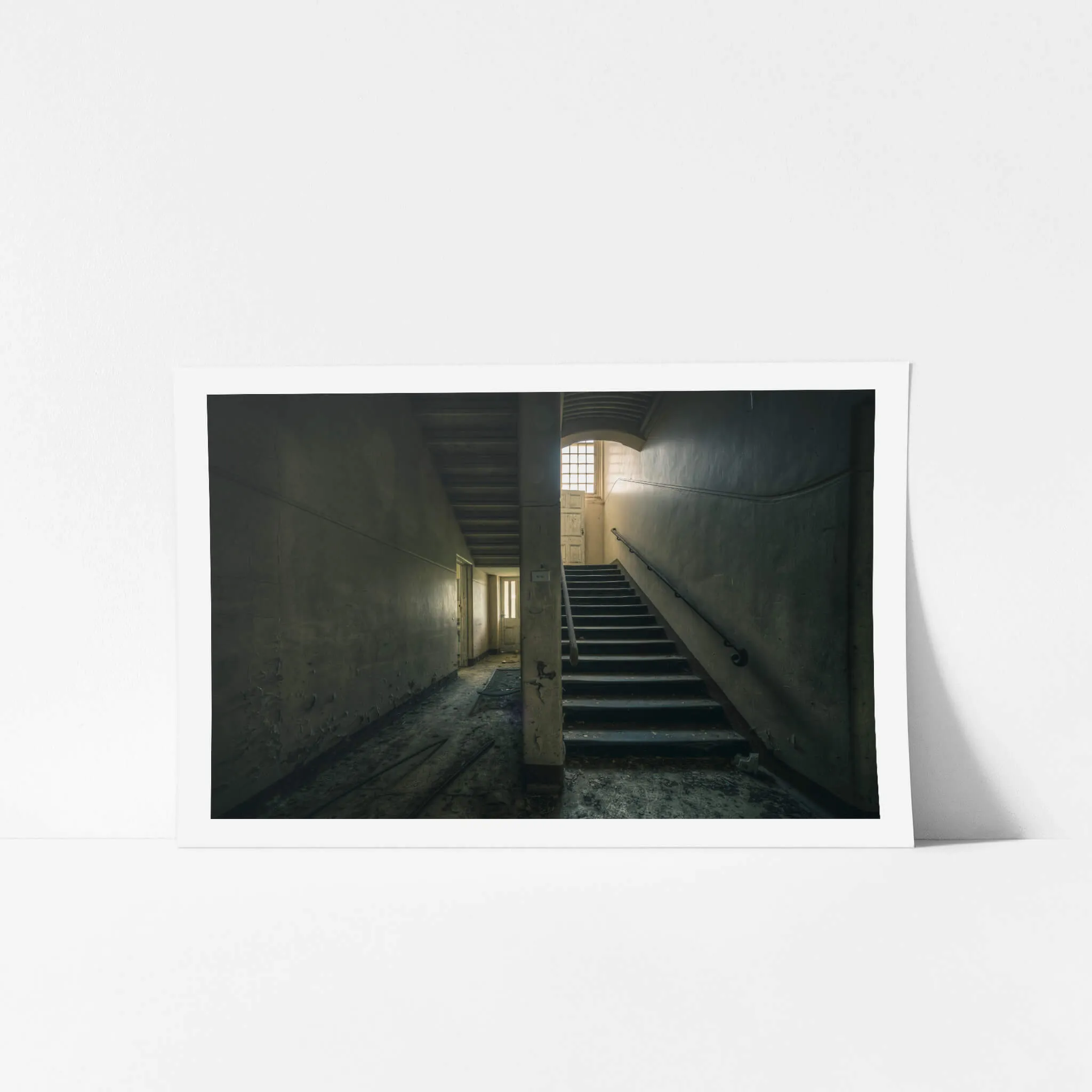Split | The Asylum