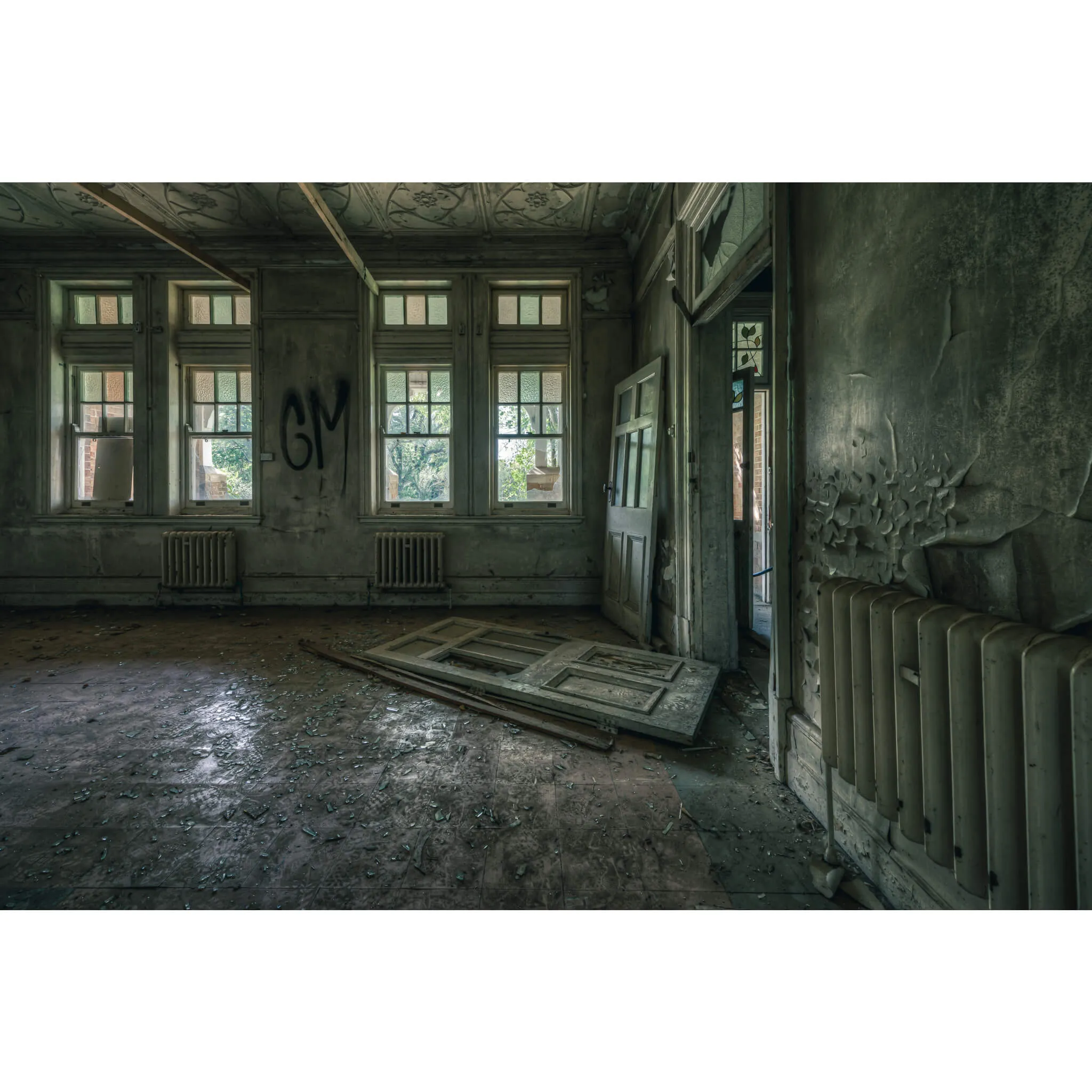 The Back Residence | The Asylum