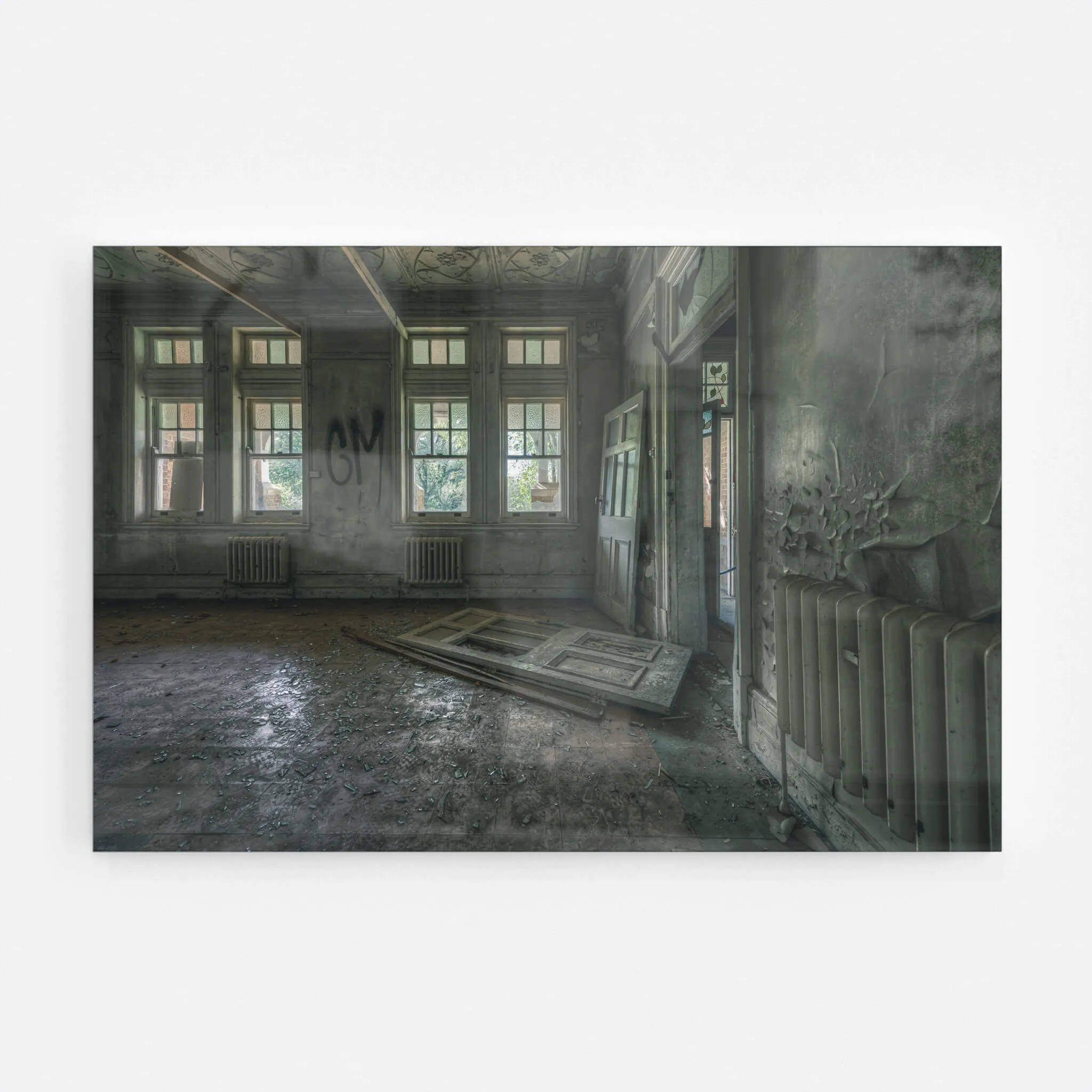 The Back Residence | The Asylum